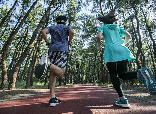 미야자키 스포츠 & 액티비티