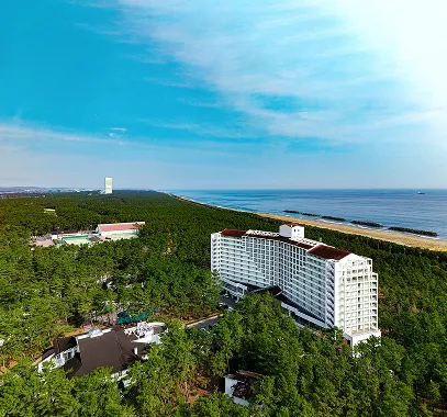 SEAGAIA FOREST CONDOMINIUMS