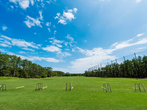 PHOENIX GOLF ACADEMY