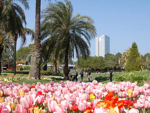 플로란테 미야자키